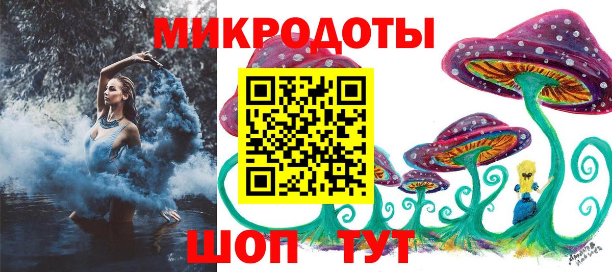 Тайшет  Псилоцибиновые грибы Magic Shrooms  Вход с VPN  Псилоцибиновые грибы Psilocybine cubensis 